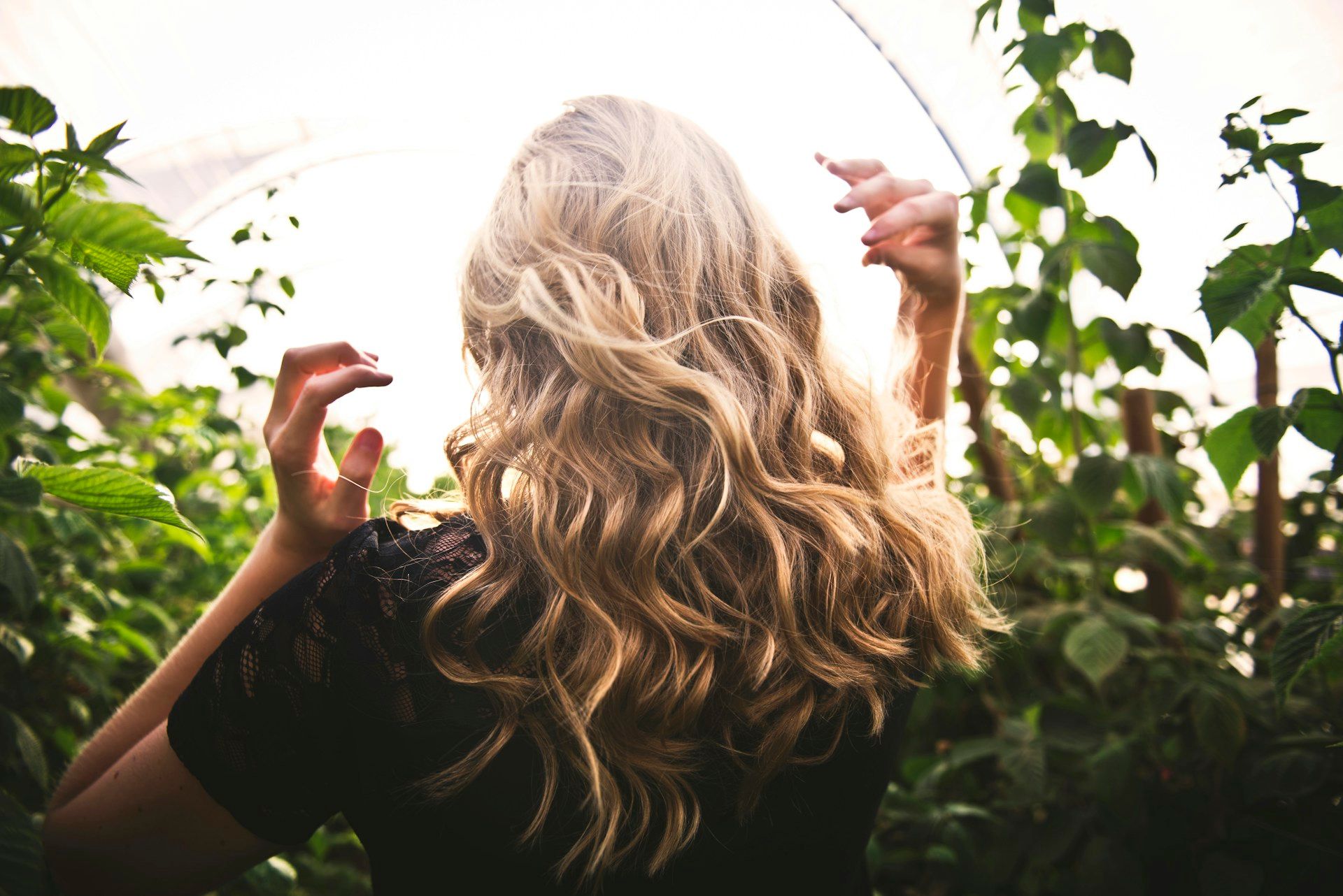Back view of a woman with wavy blonde hair in natural light, surrounded by green foliage.